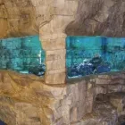 Immagine 2 azienda PIANETA ROCCE Sport e tempo libero in Pozzuoli NA