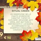 Immagine 4 azienda PIANETA VERDE PARRUCCHIERI NO CHIMIK Servizi di bellezza in San Giovanni La Punta CT