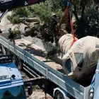 Immagine 3 azienda PIANTE FARO Vivaio in Giarre CT