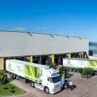 Immagine 5 azienda PIANTE FARO Vivaio in Giarre CT