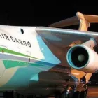 Immagine 8 azienda PIANTE FARO Vivaio in Giarre CT