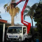 Immagine 1 azienda PIATTAFORME RAGNO Servizi professionali in Giarre CT