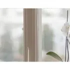 Immagine 7 azienda PIAZZA VENEZIA LE CAMERE Viaggi e turismo in Trieste