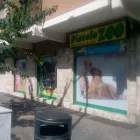 Immagine 1 azienda PICCOLO ZOO DI IEGRI CLAUDIO Shopping e acquisti in Lido Di Ostia RM