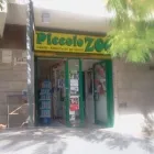 Immagine 2 azienda PICCOLO ZOO DI IEGRI CLAUDIO Shopping e acquisti in Lido Di Ostia RM