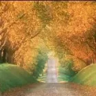 Immagine 1 azienda PIERI PARQUET Shopping e acquisti in Pescara