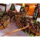 Immagine 7 azienda PIZZERIA RISTORANTE AL VESUVIO Ristorante in Bassano Del Grappa VI