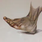 Immagine 6 azienda PODOLOGO NAVANZINO NICOLÒ ROBERTO Salute in Palermo