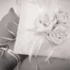 Immagine 7 azienda POINT FOR PAPER Shopping e acquisti in Varese