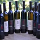 Immagine 6 azienda POLETTI S.A.S. Shopping e acquisti in Parma