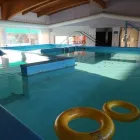 Immagine 6 azienda POLIAMBULATORIO EXIS Sport e tempo libero in Riccione RN