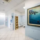 Immagine 25 azienda POLIAMBULATORIO IL BOSCHETTO Terapista occupazionale in Riccione RN