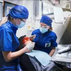 Immagine 5 azienda POLIAMBULATORIO ODONTOIATRICO SANTA LUCIA Salute in Fonte Nuova RM