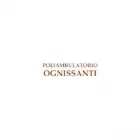 Immagine 1 azienda POLIAMBULATORIO OGNISSANTI Salute in Bassano Del Grappa VI