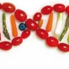 Immagine 3 azienda POLIAMBULATORIO SANTA FILOMENA Salute in Pescara