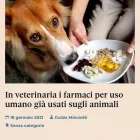 Immagine 5 azienda POLIVET - POLICLINICO VETERINARIO Salute in Roma
