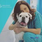 Immagine 6 azienda POLIVET - POLICLINICO VETERINARIO Salute in Roma