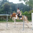Immagine 1 azienda PONY CLUB LE BETTOLE Industrie e agricoltura in Varese