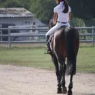 Immagine 2 azienda PONY CLUB LE BETTOLE Industrie e agricoltura in Varese
