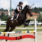 Immagine 3 azienda PONY CLUB LE BETTOLE Industrie e agricoltura in Varese