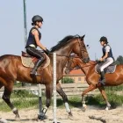 Immagine 4 azienda PONY CLUB LE BETTOLE Industrie e agricoltura in Varese