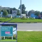 Immagine 1 azienda PRIMAVERA 83 Servizi professionali in Elmas CA