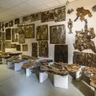 Immagine 11 azienda PRIMERANO Vendita di griglie in Altedo BO