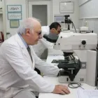 Immagine 3 azienda PROF. DR. RENO ANNIBALLO Urologo in Napoli