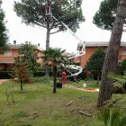 Immagine 7 azienda PROGETTO VERDE Shopping e acquisti in Filottrano AN