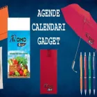 Immagine 2 azienda PROMOGRAF Trofei e distintivi in Pogliano Milanese MI