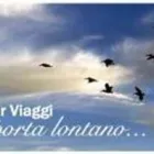 Immagine 1 azienda PROMOTUR VIAGGI Viaggi e turismo in Torino