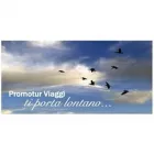 Immagine 1 azienda PROMOTUR VIAGGI Viaggi e turismo in Torino