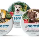 Immagine 4 azienda PROVET VETERINARIA Shopping e acquisti in Roma