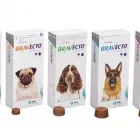 Immagine 7 azienda PROVET VETERINARIA Shopping e acquisti in Roma