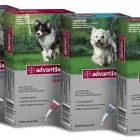 Immagine 8 azienda PROVET VETERINARIA Shopping e acquisti in Roma