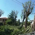 Immagine 2 azienda PUBLICOOP SERVIZI Servizi professionali in Brescia