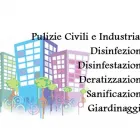 Immagine 3 azienda PULICITY IMPRESA DI PULIZIE Traslochi in Taranto