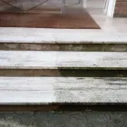 Immagine 2 azienda PULICONDO Servizi professionali in Rimini Rn