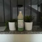 Immagine 4 azienda PULICONDO Servizi professionali in Rimini Rn