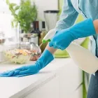 Immagine 2 azienda PULIGENERAL Servizi professionali in Montano Lucino