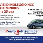 Immagine 2 azienda PUNTOMULTISERVICE Viaggi e turismo in San Giovanni Rotondo FG