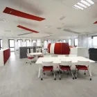 Immagine 6 azienda PURATOS ITALIA Shopping e acquisti in Parma Pr