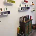 Immagine 4 azienda PURE WEED Vivaio in Rivazzurra RN