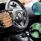 Immagine 13 azienda Q8 GIRIMONTI Veicoli in Vittuone MI