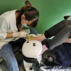 Immagine 5 azienda QUEEN NAIL 2 Servizi di bellezza in Varese