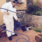 Immagine 2 azienda RA.VI. DISINFESTAZIONE - DERATTIZZAZIONE Servizi professionali in Palermo