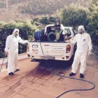 Immagine 4 azienda RA.VI. DISINFESTAZIONE - DERATTIZZAZIONE Servizi professionali in Palermo