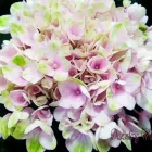 Immagine 1 azienda RALU TEST Shopping e acquisti in Acate