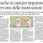 Immagine 3 azienda RAUZI LUCA - SCUOLA ADDESTRAMENTO CANI Industrie e agricoltura in Bolzano