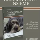 Immagine 4 azienda RAUZI LUCA - SCUOLA ADDESTRAMENTO CANI Industrie e agricoltura in Bolzano